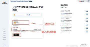 tp钱包自定义代币不显示金额_tp钱包自定义代币不显示金额_tp钱包自定义代币不显示金额