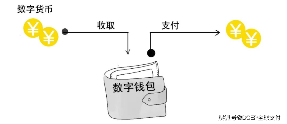 tp钱包的usdt收币地址_币种收款地址是什么_钱包地址查询usdt余额