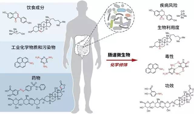 微恢复_微恢复_恢复微信