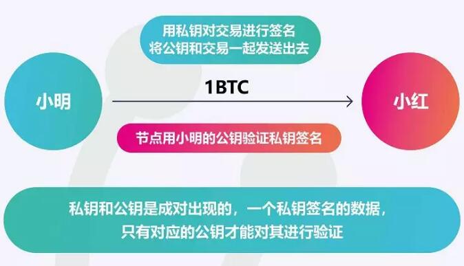 imtoken添加钱包公钥地址-imToken钱包公钥地址添加全攻略