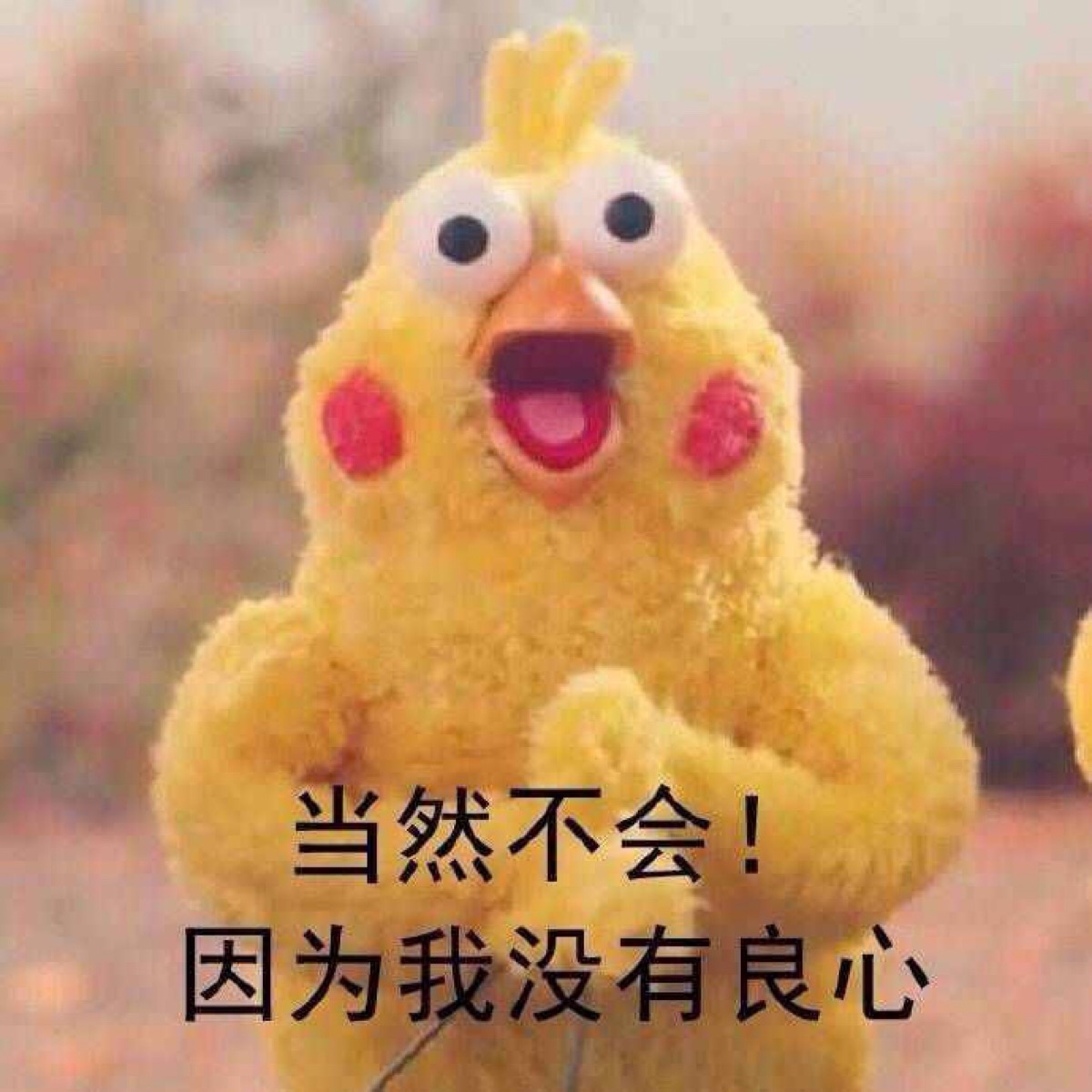 多聊免费聊天软件_聊天免费软件下载_聊天免费软件有哪些