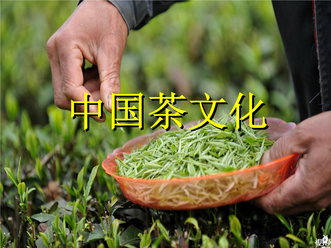 茶文化传承，提升茶叶欣赏水平——茶窝网新鲜解读