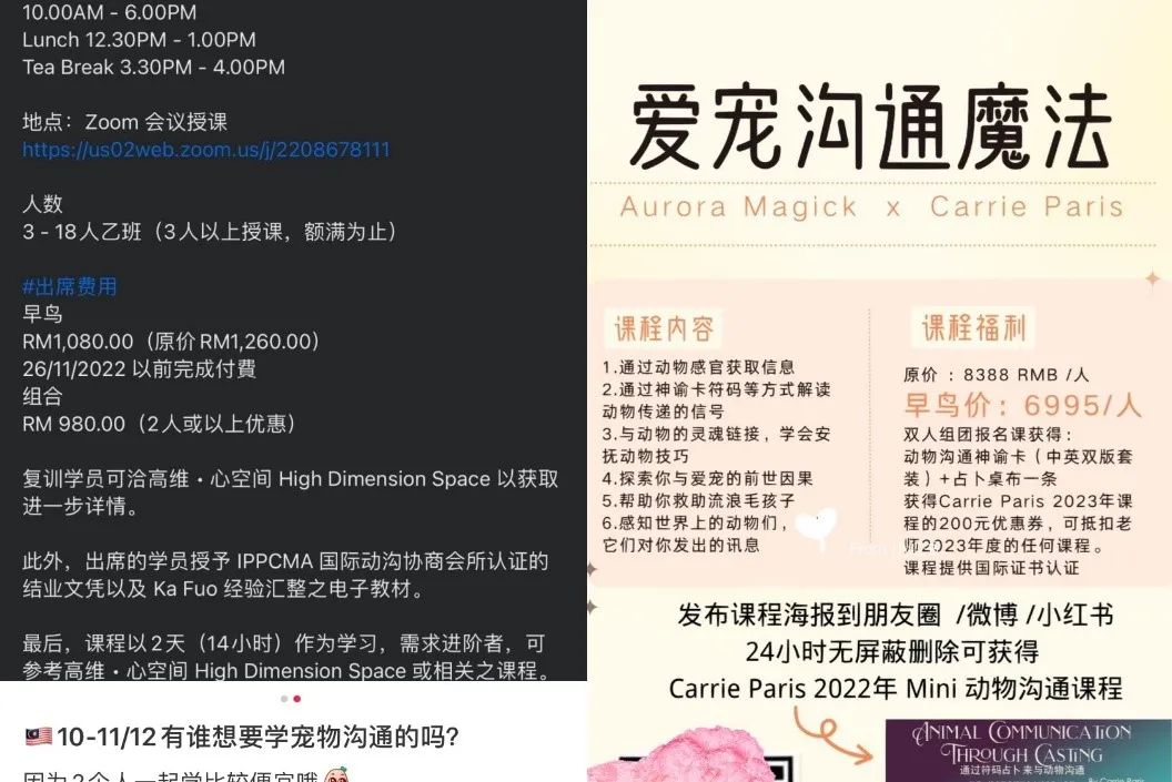 小鹅通免费下载_如何下载小鹅通助手_小鹅通下载安装