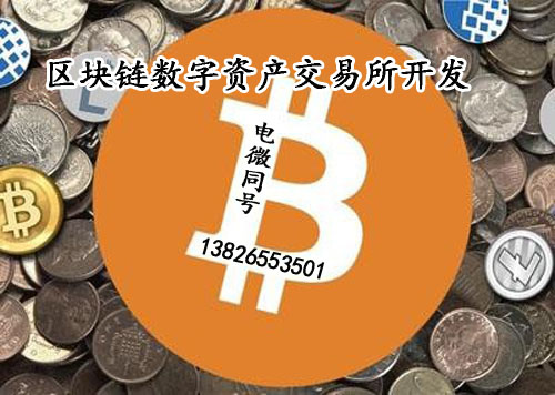 imtoken钱包开发_钱包开发票是什么类目_钱包开发定制