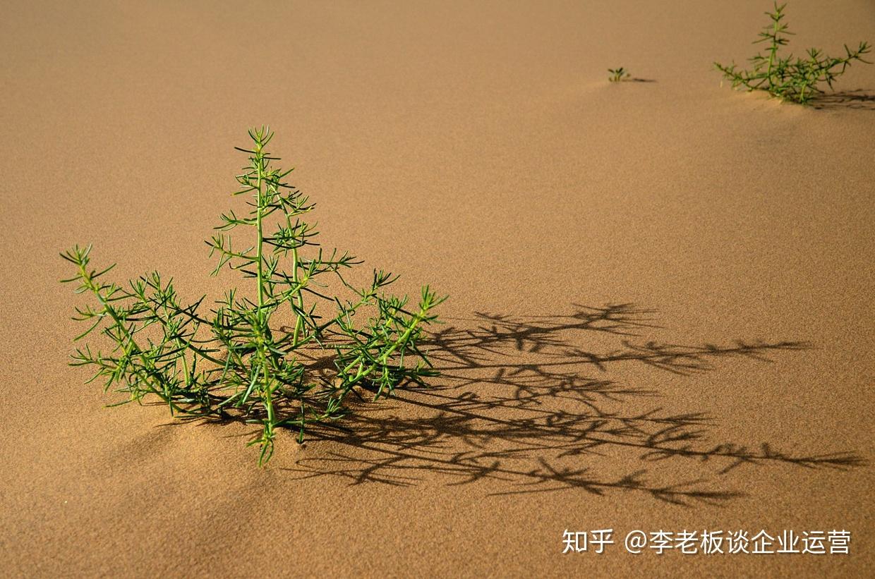 大地之斧_大地之斧_大地之斧