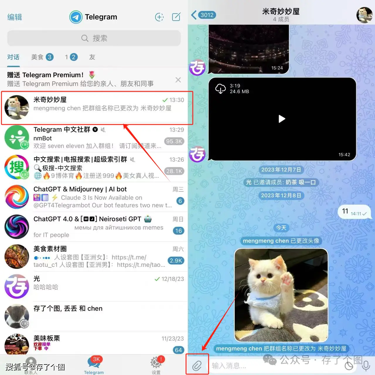 telegram怎么找视频-Telegram 上找视频攻略：