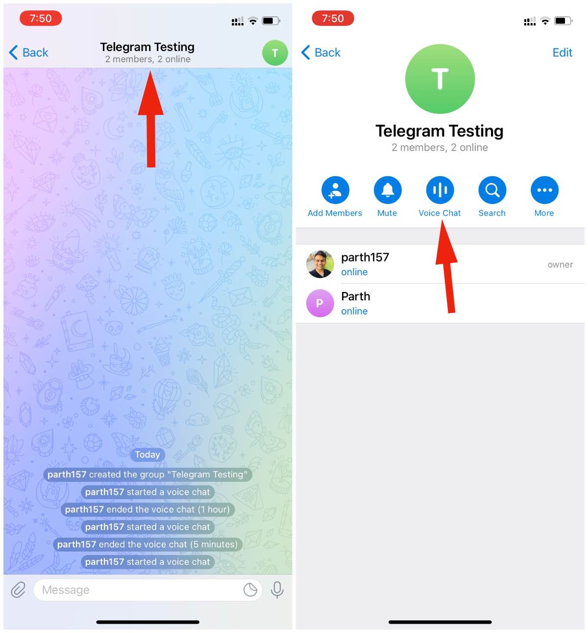 telegram的视频怎么看-Telegram 神秘视频观看